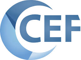 Embedding the Web: A Deep Dive into Chromium Embedded Framework (CEF)